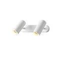 SLV Luminaria de pared y techo NOBLO® DOUBLE PHASE de 2 llamas, redondo IP20, blanco regulable
