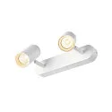 SLV Luminaria de pared y techo NOBLO® DOUBLE PHASE de 2 llamas, redondo IP20, blanco regulable