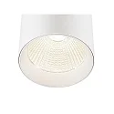 SLV Luminaria trifásica TRACKSPOT C 17 36° ajustable, conmutable IP20, blanco, barnizado 