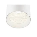 SLV Luminaria trifásica TRACKSPOT C 29 36° ajustable, conmutable IP20, blanco, barnizado 