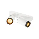 ceiling luminaire GRIP! L SPOT CL DOUBLE cylindrical GU10 IP20, black, white, lacquered dimmable