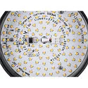 1-phase spot GRIP! FLAT CCT Switch, cardanic swivelling IP20, gold, black dimmable
