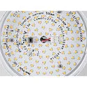 SLV 1-phase spot GRIP! FLAT CCT Switch, cardanic swivelling IP20, black, white dimmable