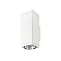 SLV Luminaria de pared para exteriores THEO PRO L UP/DOWN grande, angular, controlable por DALI, resistente al aire marino IP65