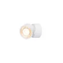 SLV Luminaria de pared y techo KALU 2.0 SINGLE PHASE de 1 llama, UGR < 19, giro cardánico IP20, blanco regulable
