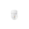 SLV Luminaria de pared y techo KALU 2.0 SINGLE PHASE de 1 llama, UGR < 19, giro cardánico IP20, blanco regulable