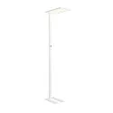 SLV floor lamp WORKLIGHT EASY FL with switch, suitable for VDU workstation, white dimmable