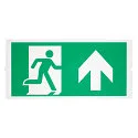Película de pictogramas P-LIGHT AREAL LED juego de 3, verde