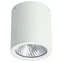 Outdoor Ceiling spot Type No. 2130, IP44, Ø 11cm / H 12.5cm, E27 PAR30 max. 75W, rigid, white