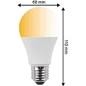 HWH Lámpara LED en forma de pera A60 CCT Switch, conmutable E27 10W 810lm 2700,6500,4000K 200° CRI >80 