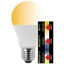 HWH Lámpara LED en forma de pera A60 CCT Switch, conmutable E27 10W 810lm 2700,6500,4000K 200° CRI >80 
