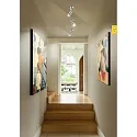 spot STAR SPOT 30-65° AC C 1 flame, swivelling, rotatable IP20, matt chrome dimmable