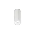 Luz downlight PENCIL MAXI cilíndrico, versión de montaje en superficie IP20, recubrimiento con polvo, blanco regulable