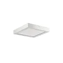 LED panel REFIDO 2CCT / 32.5 X 32.5 CM surface-mounted version, CCT Switch, UGR < 19, switchable