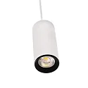 Luminaria colgante LUCEA 10 IP20, transparente, blanco tráfico regulable