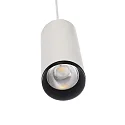 Luminaria colgante LUCEA 15 IP20, transparente, blanco tráfico regulable