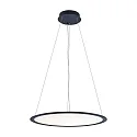 Deko-Light Luminaria colgante redondo IP40, transparente, negro intenso regulable