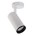 Luminaria de techo LUCEA TILT 20 CCT Switch, ajustable IP20, transparente, blanco tráfico regulable