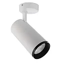 Luminaria de techo LUCEA TILT 30 CCT Switch, ajustable IP20, transparente, blanco tráfico regulable