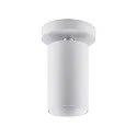Deko-Light Luminaria de techo CAN TILT ROUND Ø 8CM de 1 llama, redondo, giro cardánico GU10 IP20, blanco