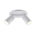Deko-Light Luminaria de techo CAN TILT ROUND Ø 20CM de 2 llamas, redondo, giro cardánico GU10 IP20, blanco