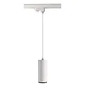 Foco trifásico LUCEA 10 IP20, transparente, blanco tráfico regulable
