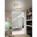 Fabas Luce Luminaria de techo BARD 15X15 pequeño, simple, controlable por voz, incl. Smartluce IP20, dorado mate, satinado regulable