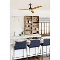 Ceiling fan ALO CCT with remote control IP20, black matt, pine