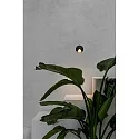 Faro Luminaria de pared para exteriores UVE LED IP44, plomo oscuro 