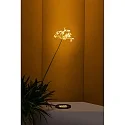 floor recessed luminaire TRAS 25L / 13° / 700MA 12 flames, rigid IP67