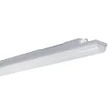 Luminaria para locales húmedos WNL14 9568 controlable por DALI IP68, gris regulable