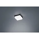 Luminaria de techo COSI IP30, satinado, negro mate regulable