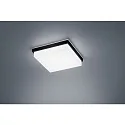 Luminaria de techo COSI IP30, satinado, negro mate regulable