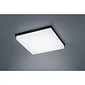 Luminaria de techo COSI IP30, satinado, negro mate regulable