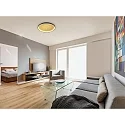 ceiling luminaire MORI CCT Switch, with diffuser IP20, black matt, gold leaf dimmable