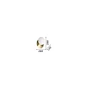 Ideal Lux Luminaria de pared NINFEA AP1 GX53 IP20, latón