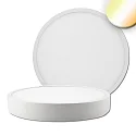 LED ceiling luminaire PRO,round, Ø 30cm, suitable for offices, 30W, ColorSwitch 2700|3000|4000K, dimmable, white