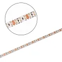 ISOLED Tira LED CRI919/940 CCT blanco