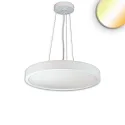 Luminaria colgante DN600 IP44, blanco regulable