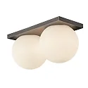 Lumexx Luminaria de pared y techo PALLA MINI IP20, titán regulable