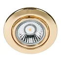 Luz downlight C 3830 giratorio IP20, dorado regulable