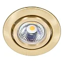 Luz downlight C 3840 giratorio IP20, latón cepillado regulable