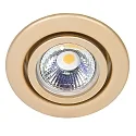 Luz downlight C 3840 giratorio IP20, dorado mate regulable