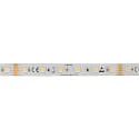 LED Strip 5050 RGB+WW/CW SMD - 2M / 12MM RGBW white