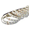 nobilé LED Strip 5050 RGB+WW/CW SMD - 5M / 12MM RGBW white
