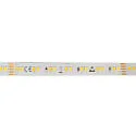 LED Strip SMD 2835 SCCT MP - 2M / 12MM CCT Switch, multipower white
