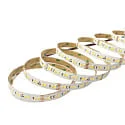 nobilé Tira LED SMD 2835 SCCT MP - 2M / 12MM CCT Switch, multipower blanco