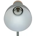Luminaria de mesa DEVONE  E27 IP20, verde polvoriento 