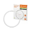 Ledvance Tubo LED T5 FC 40/55 EXTERNAL forma del anillo 2GX13 21,5W 3200lm 4000K 120° CRI 80-89 regulable