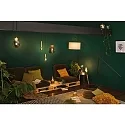 Paulmann LED Deco Globe G125 Top mirrored Lamp BLACK MATT, 230V, E27, 6.5W 2700K  600lm, dimmable, clear